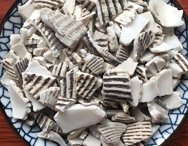 瓦楞子：瓦楞子中药属性揭秘！性状、主治与土方，筛选标准为何？