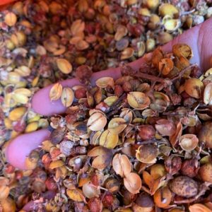 合欢花：合欢花开解郁愁，裕亨中药为您讲透属性功效与方剂？