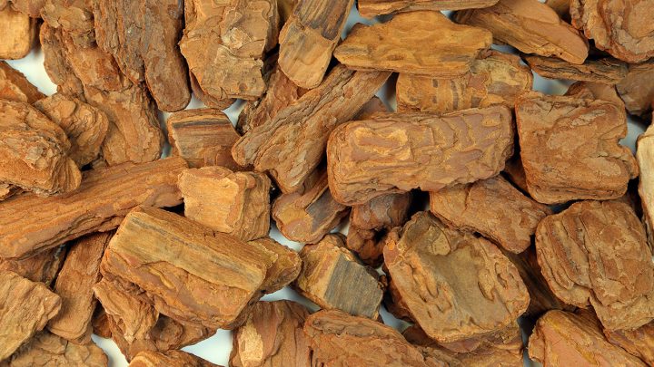 沉香木深度解读：属性特色、功能主治、药材性状及常用方剂？