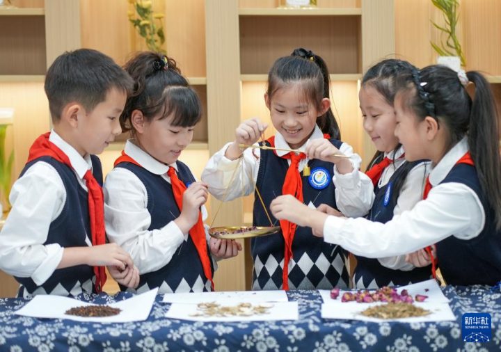 世界传统医药日各地中医药文化体验活动精彩纷呈，学生等群体感受中医魅力插图