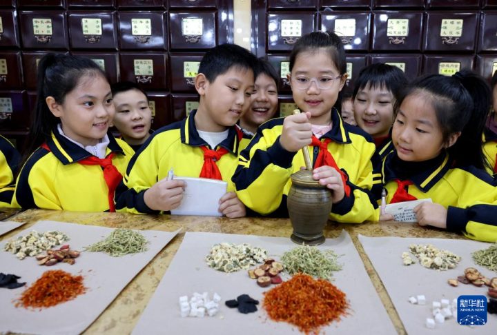 世界传统医药日各地中医药文化体验活动精彩纷呈，学生等群体感受中医魅力插图6