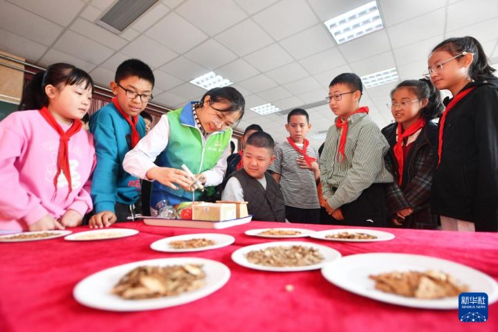 世界传统医药日各地中医药文化体验活动精彩纷呈，学生等群体感受中医魅力插图7