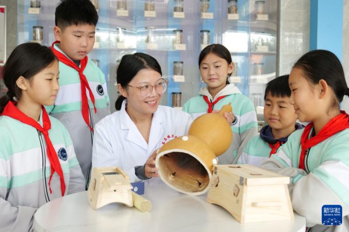 世界传统医药日各地中医药文化体验活动精彩纷呈，学生等群体感受中医魅力插图9