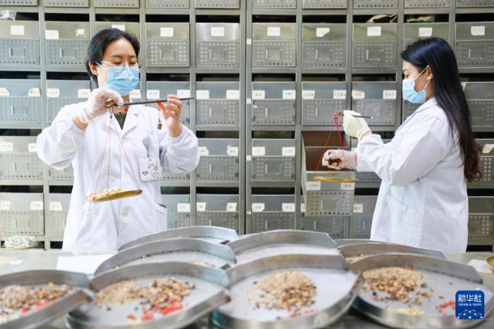 世界传统医药日各地中医药文化体验活动精彩纷呈，学生等群体感受中医魅力插图11