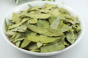 番泻叶中药属性说明：泻下通便作用、使用注意事项及实用方剂参考插图1