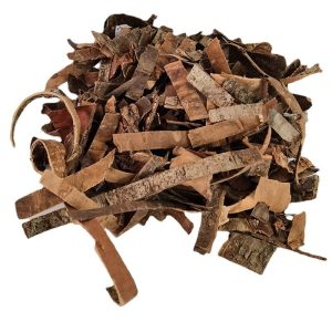 榆树根皮：根皮属性大揭秘，养生功效与适用方剂?插图1