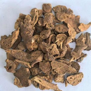 菊科白术草药介绍​插图1