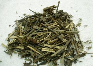 罂粟科延胡索草药介绍：功效与使用方法全解析插图1