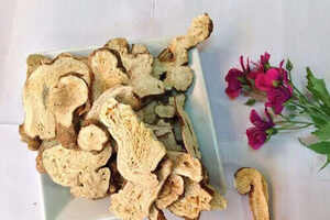 菊科白术草药介绍​插图2