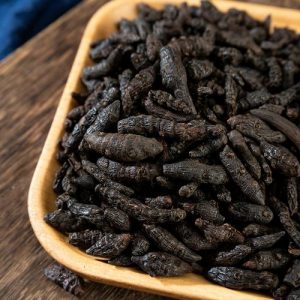 醋香附：深度解析其属性功效，经典方剂为健康护航？