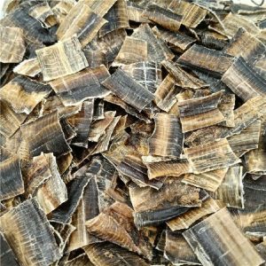 地龙中药百科：生物属性、核心功效及主治病症详细介绍