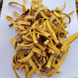 黄柏根皮：根皮属性与药用价值，特色方剂全攻略