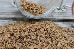 炒麦芽：独特属性与养生功效，经典方剂助力健康？