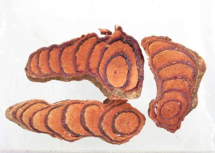 鸡血藤科普：属性特征、功能主治、药材性状与常用方剂？插图