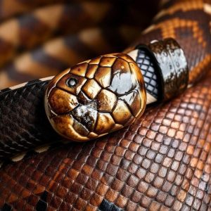 眼镜蛇中药属性指南：药用功效、功能特点及主治方向插图2