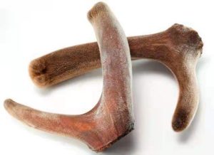 鹿茸中药百科：滋补属性、核心功效与主治病症全解析插图1