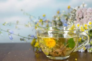 菊花之妙：清肝明目话菊花，裕亨中药为你细数属性功效与经典方剂？插图1