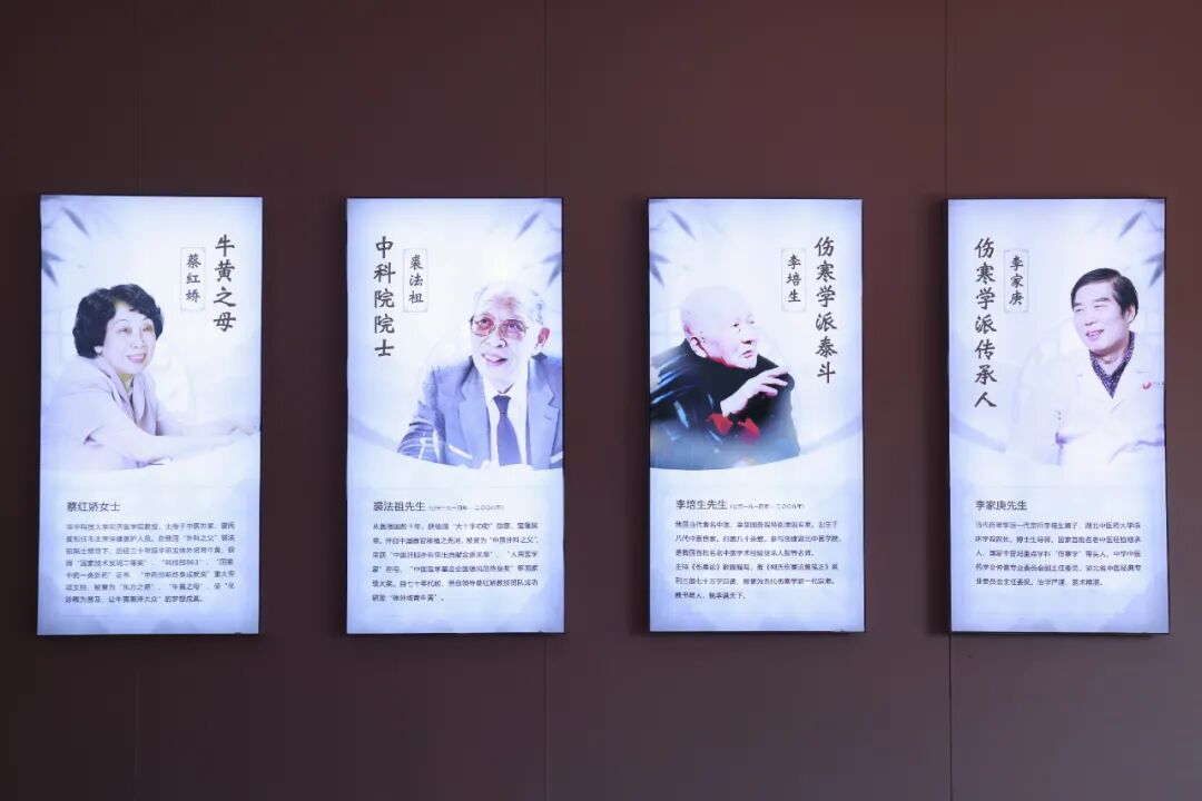 2025 武汉中医药文化宣传周启幕，AI 沉浸式中医药文化馆成亮点插图12