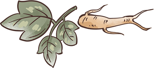 2025 武汉中医药文化宣传周启幕，AI 沉浸式中医药文化馆成亮点插图13