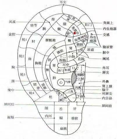 小儿癫痫：从病因诊断到科学照护的全攻略插图2