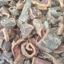 走进裕亨中药：牡丹皮，清热活血的皮类中药材全介绍？插图1