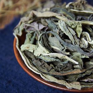 大青叶中药：清热解毒功效解析，性味属性特征及对症治疗方剂插图2