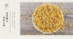 桂花：桂花香里话养生，裕亨中药解读桂花属性功效与方剂？