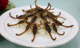 全蝎中药属性与功效作用：从性味到临床应用，附经典方剂