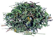 红娘虫中药：性味归经属性、功效作用解析及对症方剂参考插图