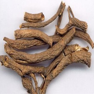 五加皮：五加皮根皮属性与功效探索，特色方剂大集合