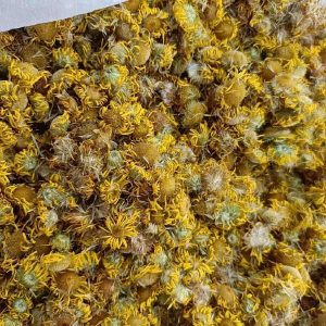 旋覆花：旋覆花里藏乾坤，降气化痰有奇方，裕亨中药课堂开讲？