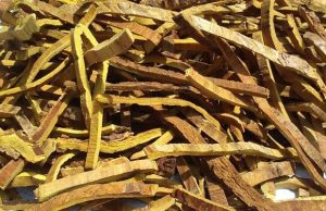 酒黄柏：剖析属性功效，探索对症实用方剂？插图1