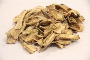 菊科茅苍术等草药介绍​插图2