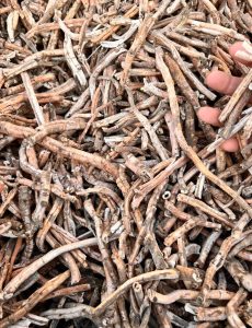 走进裕亨中药：牡丹皮，清热活血的皮类中药材全介绍？