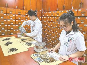 中医药入国家顶层设计 南宁保定医养结合试点成效亮眼插图