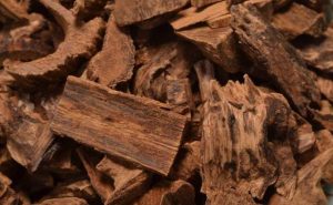 沉香中药的属性、功效与作用及方剂搭配详解？插图1