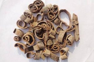 厚朴根皮：解读属性，探寻燥湿解毒功效与对应方剂插图1