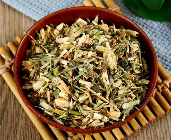 瞿麦:属性深度剖析,功能主治、药材性状及食用方法全知晓?插图 瞿麦:属性深度剖析,功能主治、药材性状及食用方法全知晓?插图