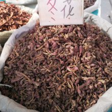 款冬花：寒冬绽芳华，止咳平喘有它，裕亨中药带你认识神奇款冬花？插图1