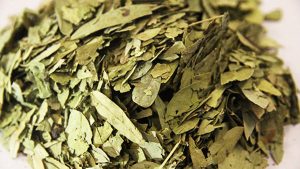 番泻叶中药属性说明：泻下通便作用、使用注意事项及实用方剂参考