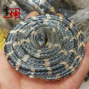 金钱白花蛇中药属性指南：形态特征、功效作用及主治病症插图