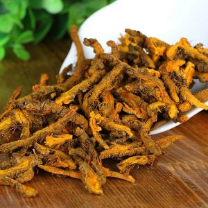 毛茛科黄连等草药介绍​插图3