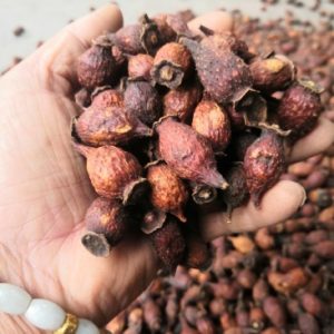 金樱子：独特中药的属性、功效与作用及方剂推荐插图