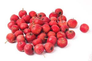 山楂：药食同源中药的属性、功效与作用及方剂推荐插图