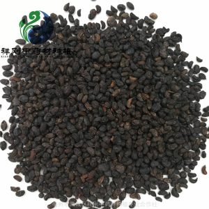 女贞子：常见中药的属性、功效与作用及方剂推荐插图1