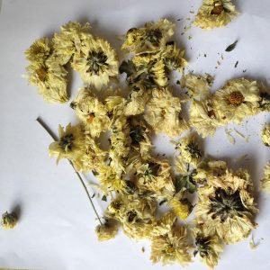 杭菊花：杭城菊花美名扬，裕亨中药详解其功效与经典方剂？插图