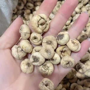 百合科川贝母等草药介绍​插图2