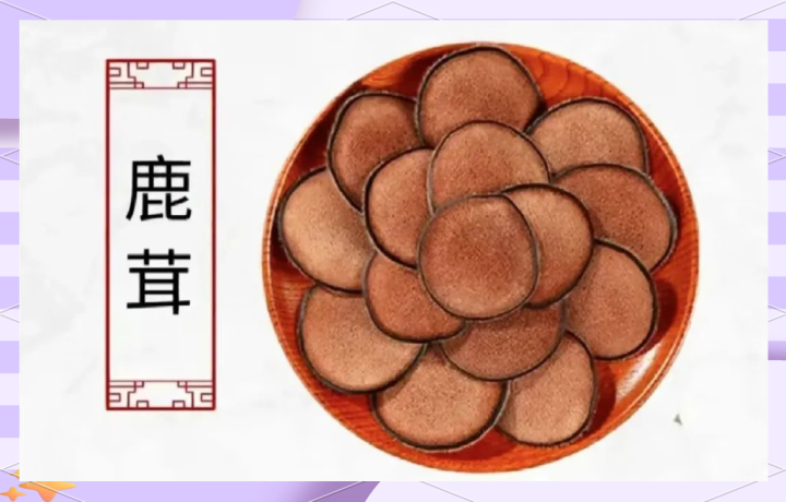 鹿茸：鹿茸中药属性的奥秘！性状、主治症状，方剂挑选关键何在？插图