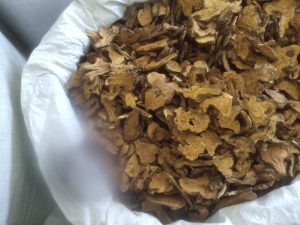 炒白术：解读属性功效，为您推荐健脾良方？