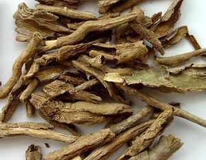 地骨皮：探索其神秘属性，镇痛等功效与特色方剂大揭秘插图1